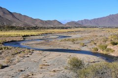 Rio Calchaqui