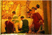 wpcb98a104.jpg