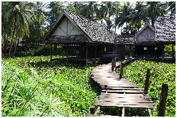wp8e68b358.jpg