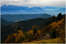 wpe3f18aa1.jpg
