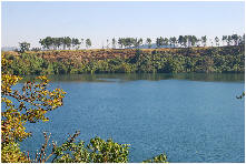 wp1c5934f8.jpg