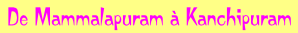 wp90bf0161.png