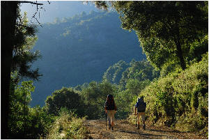Route de Lonca