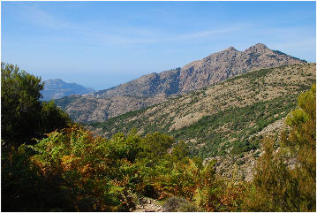Bocca Acquaviva