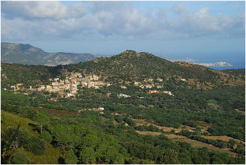 Moncale