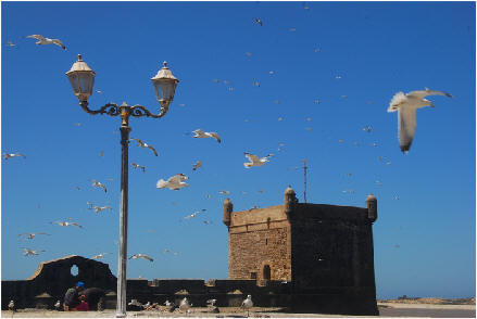 Essaouira