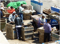 Essaouira